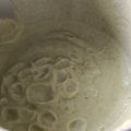 El cooksnap de Celia Laguna cuando hizo Crema coliflor y calabacín en Thermomix.