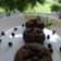 Jignasa Avnish Vora's cooksnap of when they made કૂકીઝ(Cookies Recipe in Gujarati).