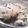 Cooksnap dari Dapur mba Mer a.ka merna kitchen untuk resep Chocolate Lasagna
