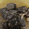 Cooksnap dari Ghieah Ariyanti Wulandari untuk resep Empal daging sapi empuk dan manis