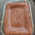 Cooksnap de Sonia sur la recette Fondant au chocolat 🍫