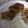 El cooksnap de Karina Castañares cuando hizo Bocadillos de brócoli con queso.