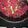 Stephanie Sanchez's cooksnap of when they made Kerala style beetroot thoran.