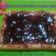 Cooksnap dari bursyah_yunita untuk resep Blueberry cheese cake simple