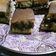 Cooksnap dari nafisatun niswah untuk resep Martabak manis teflon bersarang