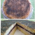 El cooksnap de Rosalía cuando hizo Tarta de queso vegana con frutos rojos🍓.