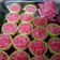 Cooksnap dari Ika.fitrania untuk resep Kue Cantik Manis Mutiara