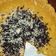Cooksnap dari Kamilia Rahayu untuk resep Pie Susu Teflon