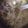 monkeyfufu's cooksnap of when they made Zuppa Toscana.