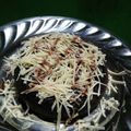 Cooksnap dari lizam khazanah untuk resep Brownis oreo dua bahan saja
