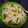 Sujata Kulkarni's cooksnap of when they made रव्याचा ऊपमा (Ravyacha Upma Recipe In Marathi).