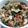 Cooksnap dari MF. Irene untuk resep Tumis kacang panjang plus krecek (rambak kulit sapi)