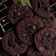 Karan Tripathi (Food Fanatic) का कुकस्नैप जब उन्होंने चोको चिप्स कुकीज़ (Choco Chips Cookies Recipe in Hindi) बनाया था।