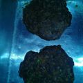 El cooksnap de Milagros Mónica Baez cuando hizo Hamburguesas caseras light (sin carbohidratos).