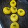 Meenakshi Verma( Home Chef) का कुकस्नैप जब उन्होंने मथुरा का केसर पेड़ा (Mathura ka Kesar Peda recipe in Hindi) बनाया था।