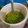 Cooksnap dari santy anas moga untuk resep Es Cendol Tepung Beras