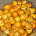 Cooksnap dari Mak e Junior untuk resep Nastar (Resep 1kg Terigu)