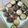 Cooksnap dari elisabeth siska untuk resep Muffin Pisang Wangi