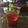 Pan Hao 的 凍飲洛神氣泡酒 cooksnap
