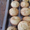 El cooksnap de Confis08 cuando hizo Muffins de vainilla con chips de chocolate.