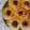 El cooksnap de Silvia Rocio Jimenez Rojas cuando hizo Pan Dulce.