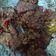 Cooksnap dari poppy apt untuk resep Daging Lapis Empuk