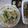 Cooksnap dari Rety Trianasari untuk resep Soto kudus