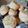 BAKES A LITTLE's cooksnap of when they made Buttermilk Biscuits (Southern).