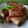 Cooksnap dari Pawon Bunda Dinda untuk resep Bacem (angkringan) tahu kulit #kangenrumah