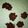 El cooksnap de amaia cuando hizo Rocas de avellana y chocolate negro.