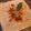 El cooksnap de Carla Moya 🌹 cuando hizo Hummus de alubias blancas 🍛.