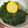 Cooksnap dari Priscilla Putri Elizabeth Kanky untuk resep 82.) Sayur bening bayam