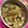 Cooksnap dari Salanikitchen untuk resep Sayur lodeh simple