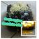 Cooksnap dari Zee' hayati untuk resep Simple Eggless Chocolate Cake