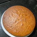 El cooksnap de Paula cuando hizo Bizcocho Casero de Limón.