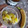 El cooksnap de IVJ89 cuando hizo Pudding de chía con healthy bites y kiwis mini.