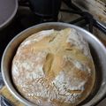 El cooksnap de Alicia Angeles cuando hizo Pan de masa madre 🥖 Harina común, agua, sal y lenta fermentación ♥️.