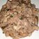 Cooksnap dari silphia_santoso untuk resep Tahu kecap babi cincang (pork, no halal)