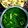 Shrabanti Banik 's cooksnap of when they made পালং পনির (palak paneer recipe in Bengali).