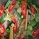 Cooksnap dari Jules untuk resep Steamed Ikan Dori Kemangi