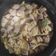 El cooksnap de Gaby Galdeano Lopez cuando hizo Atún encebollado.