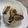 玟子i料理 的 積存時間【油漬菇菇】常備菜風味飯糰 cooksnap