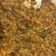 صورة من هدى ، شاركها بعد تجربة وصفة كبسة الورق العنب اللذيذه 😋😋😋😋