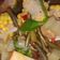 Cooksnap dari Ayuk Loli untuk resep Sayur asem