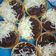 Cooksnap dari Cahya Cullen untuk resep Martabak mini
