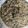 Cooksnap dari Cooking with me untuk resep Risotto with wild mushroom