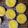 Cooksnap dari vani valiani untuk resep Portuguese Egg Tarts