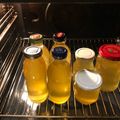 Cooksnap Katarzyna Mroczek z czasów, kiedy przygotował Sok z mniszka lekarskiego.