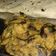 Chef Jatin Singh का कुकस्नैप जब उन्होंने करेला की छिलकेकी  मठरी(karela ki chilke ki mathri recipe in hindi) बनाया था।
