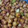 Cooksnap dari rien ay lie untuk resep Pentol Bakso Mercon